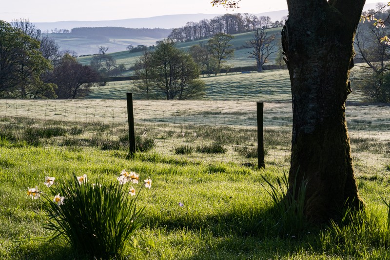 Tongue_Cottage-264 Misty Meadows